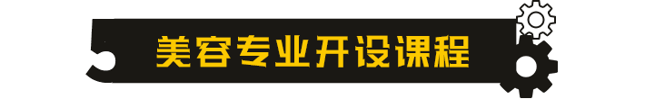 汽车美容开设课程